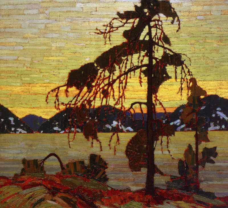 O Pino Cinza - Tom Thomson