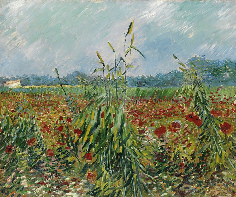 🌾 Espigas verdes de trigo – Vincent van Gogh (1888)