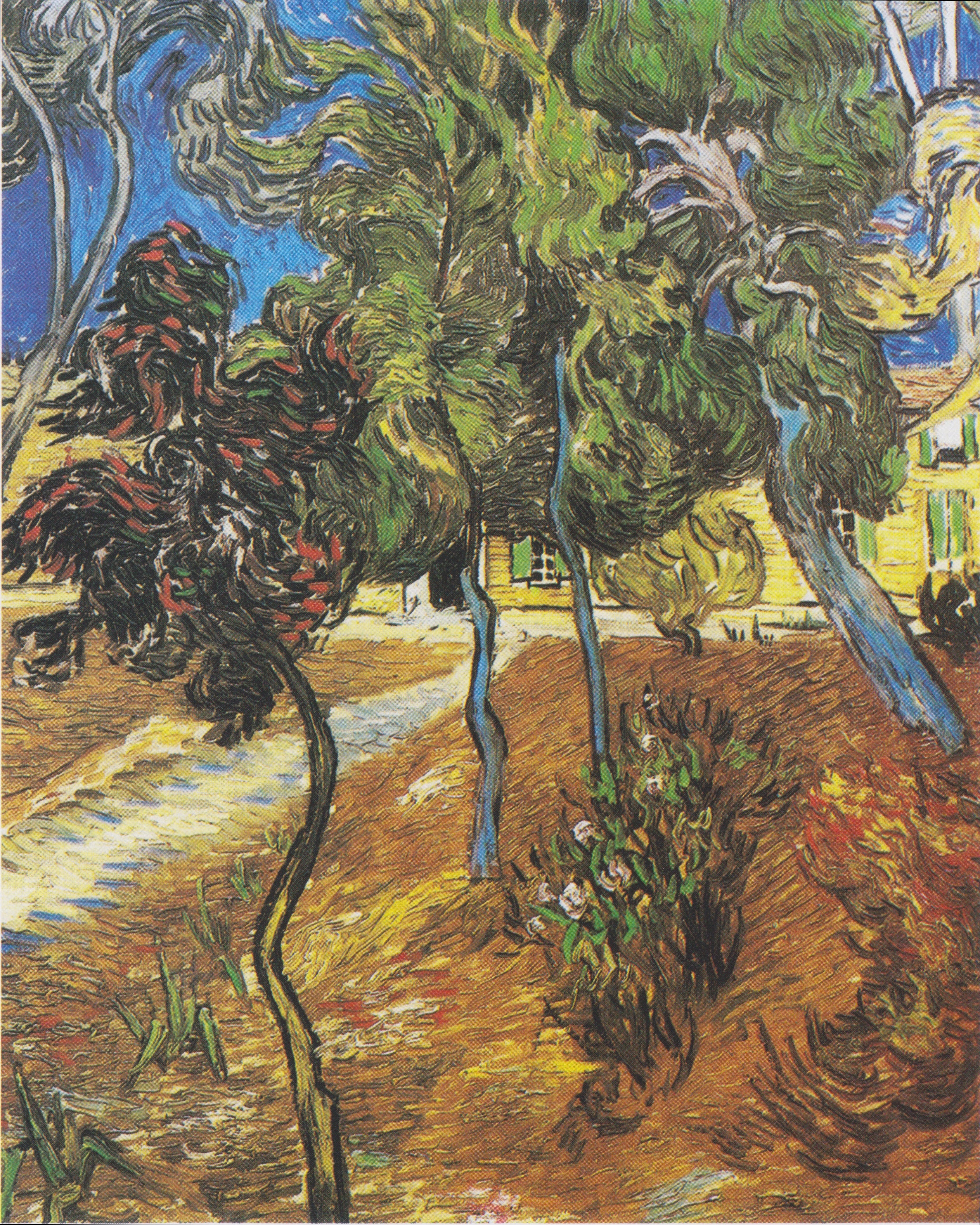 Reproduction du tableau « Arbres du jardin de l'hôpital Saint-Paul - Vincent van Gogh » par Alpha Reproduction en peinture à l’huile