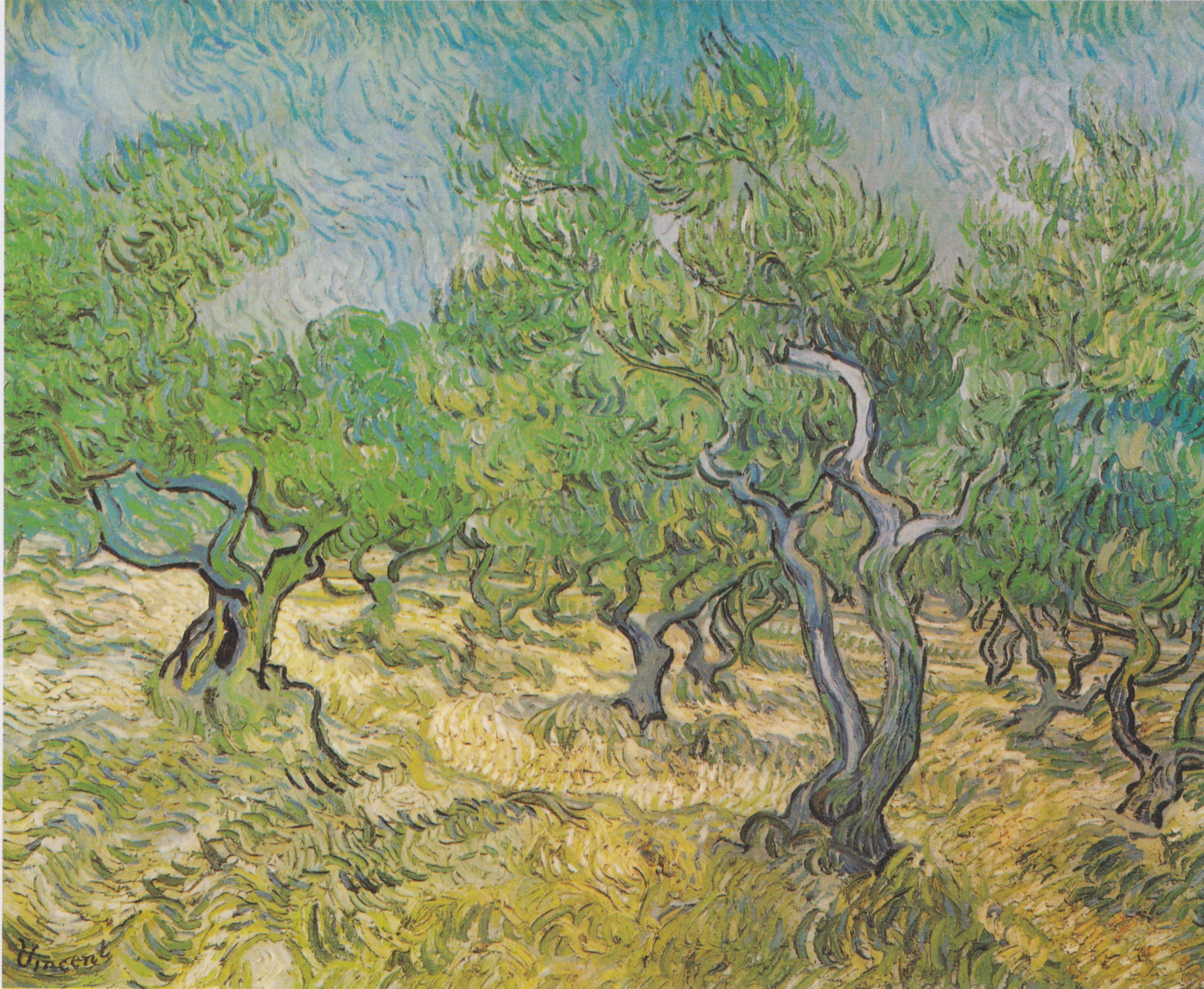 Reproduction du tableau « Champ d'oliviers - Vincent van Gogh » par Alpha Reproduction en peinture à l’huile
