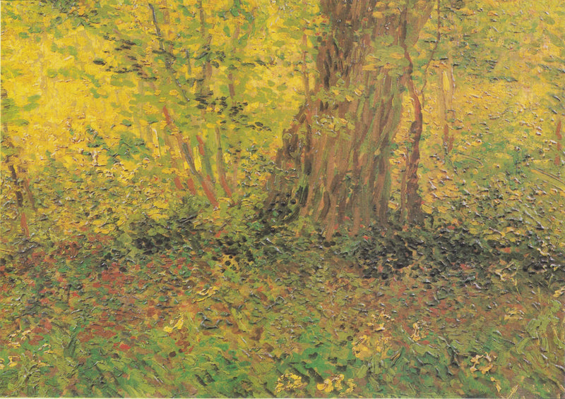 Sub-bosque - Vincent van Gogh
