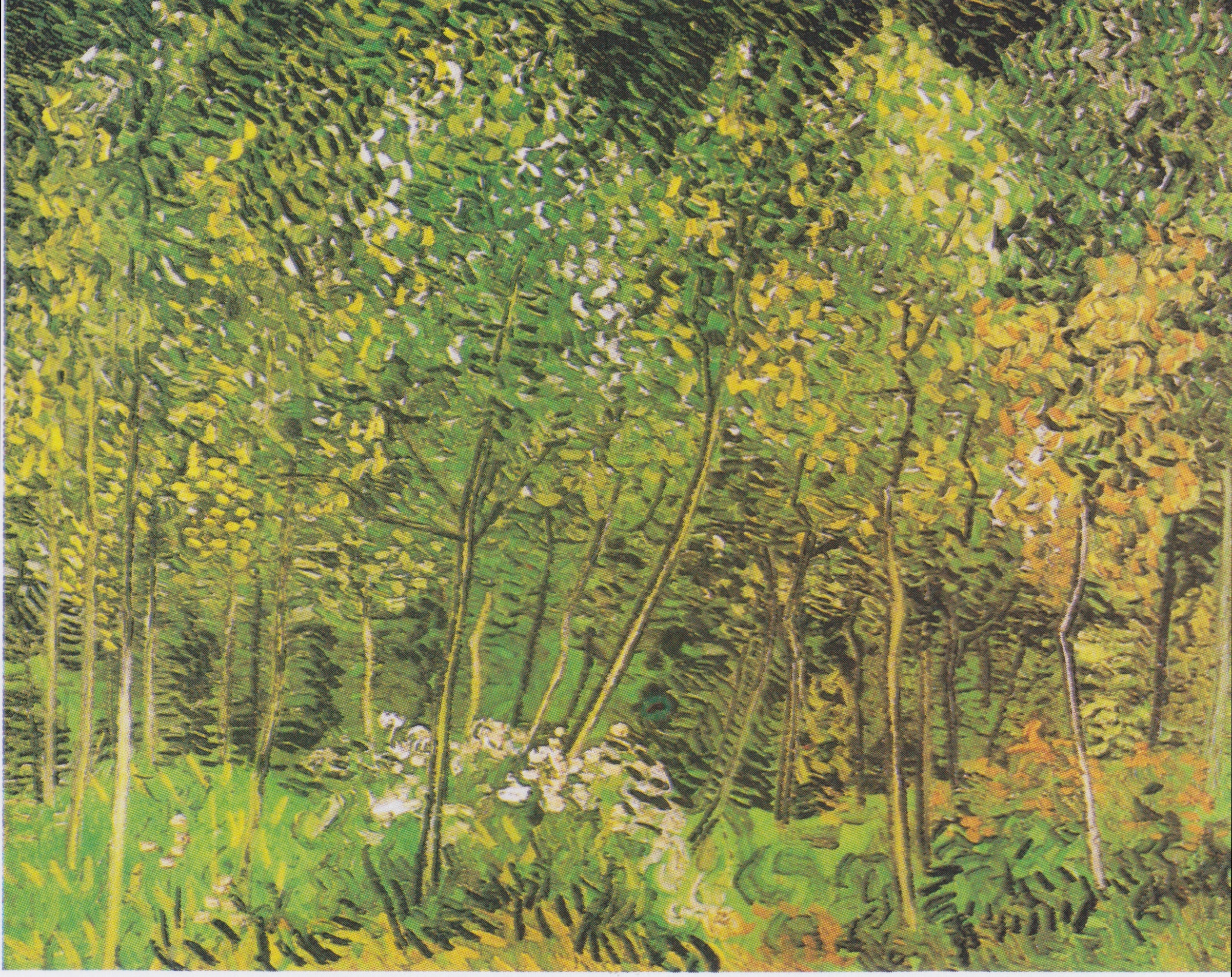 Reproduction du tableau « Le Bosquet - Vincent van Gogh » par Alpha Reproduction en peinture à l’huile