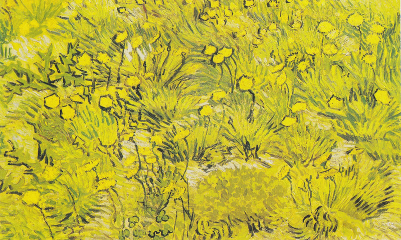 Pradaria com flores amarelas - Vincent van Gogh