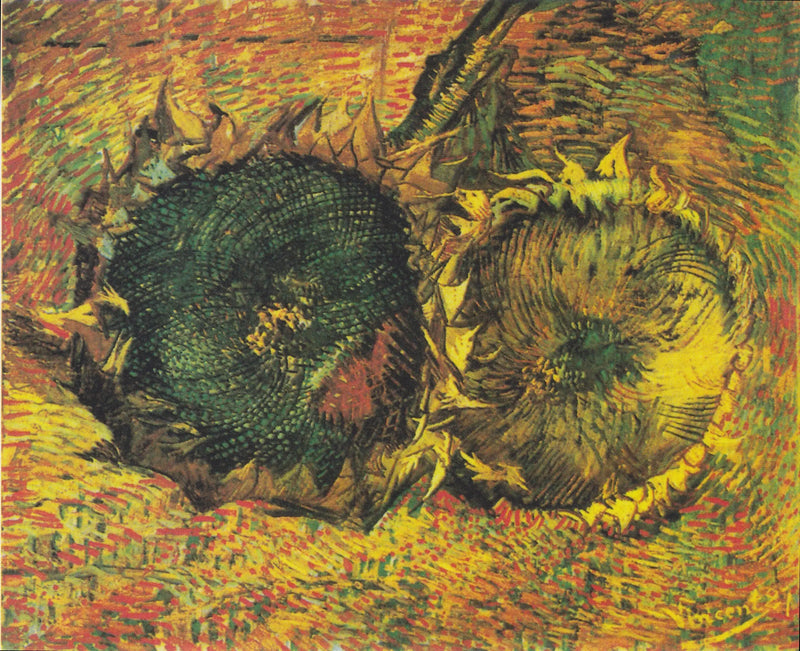 Dois Girassóis cortados - Vincent van Gogh