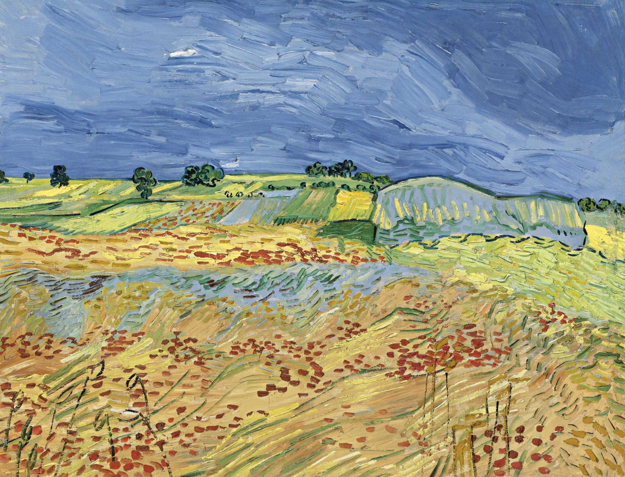 Reproduction du tableau « Les champs - Vincent van Gogh » par Alpha Reproduction en peinture à l’huile