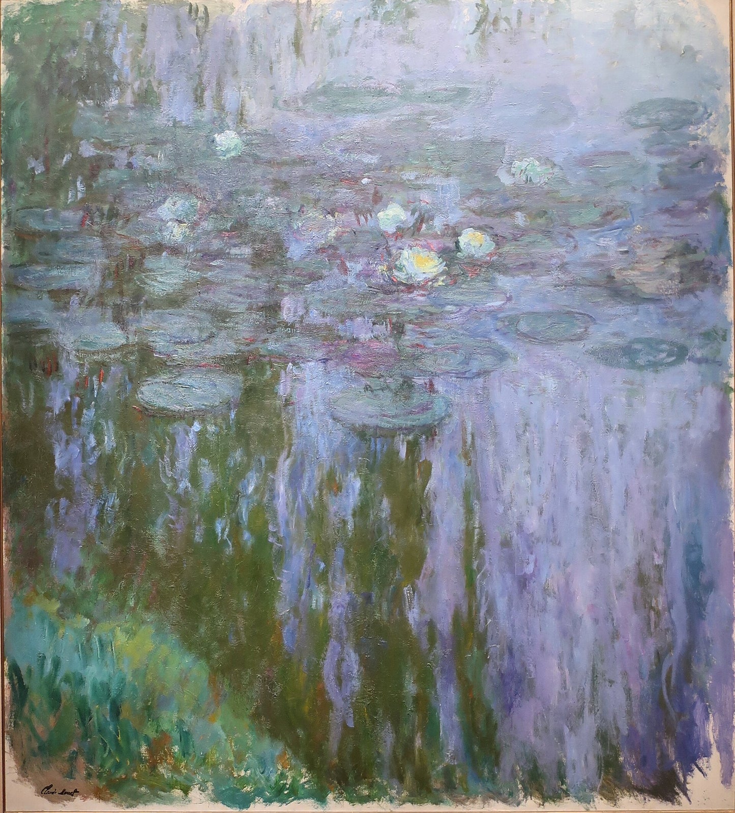 🌿 Ninféias – Reflexos Verdes e Malvas