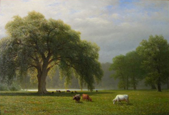 Chênes pleureurs, Clear Creek, Californie - Albert Bierstadt