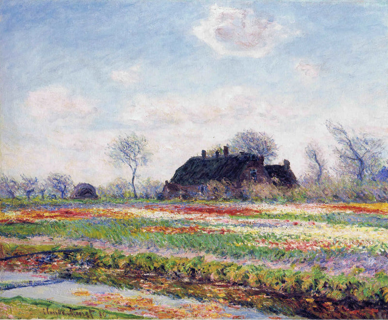 Em Sassenheim perto de Haarlem, campo de tulipas - Claude Monet