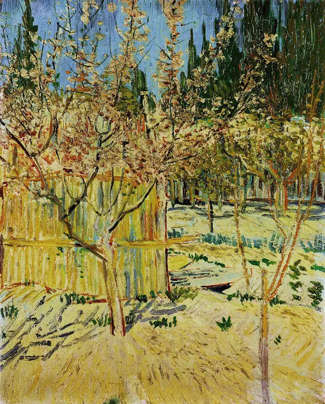 Abricoseiros em flor - Vincent van Gogh