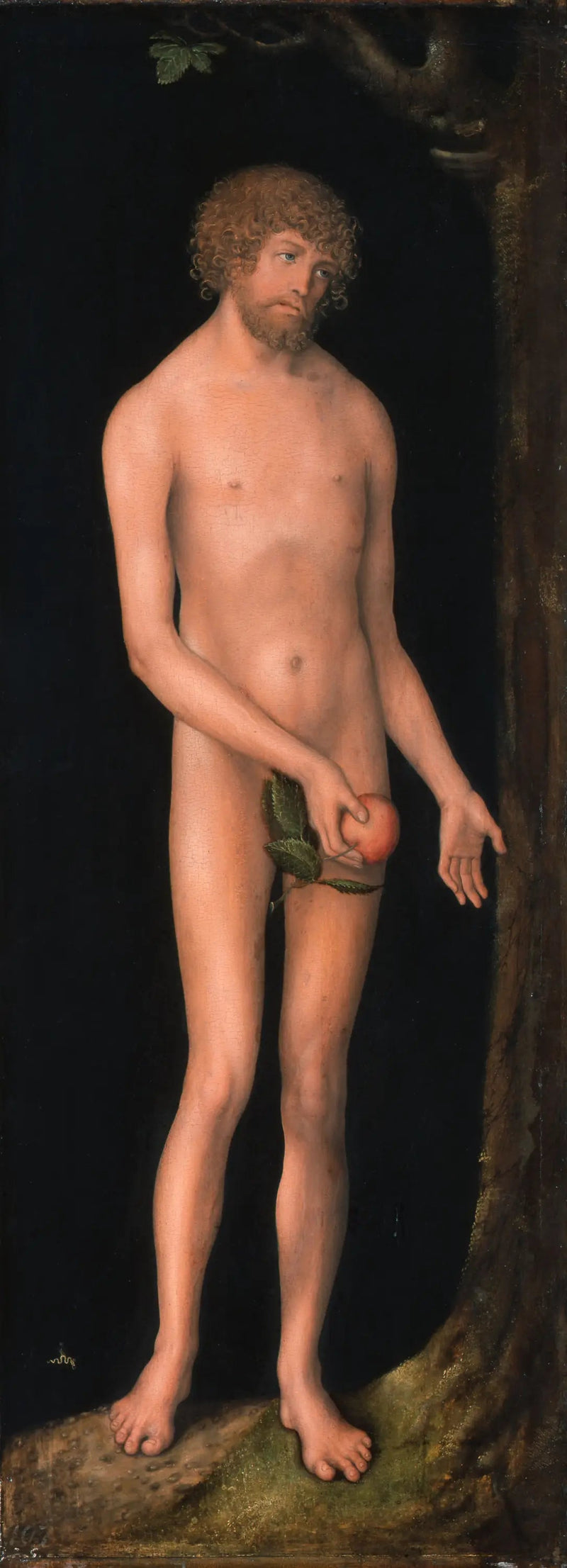 Adam - Lucas Cranach, o Velho