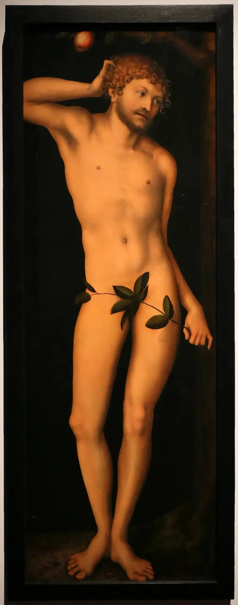 Adam - Lucas Cranach, o Velho