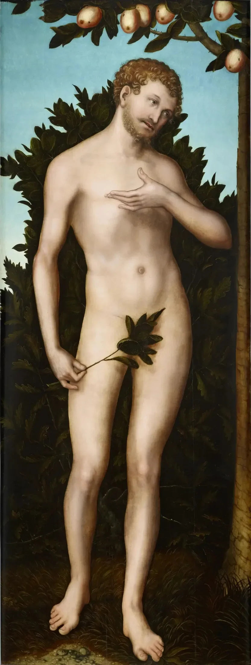 Adam - Lucas Cranach, o Velho