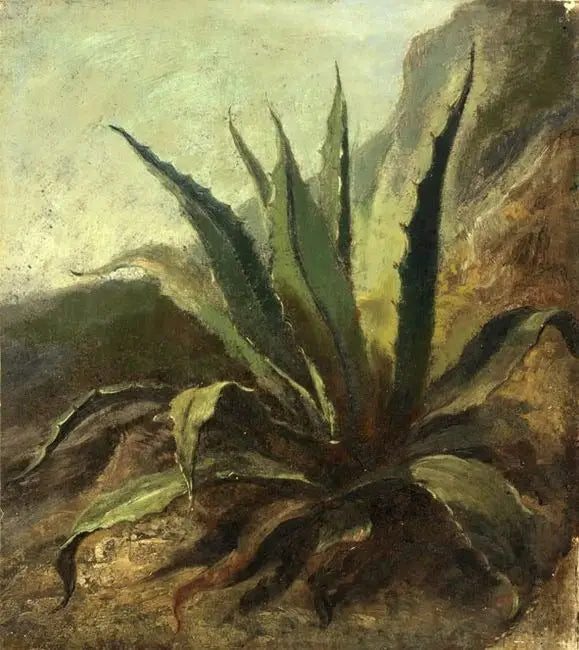 Agave no Marrocos - Eugène Delacroix