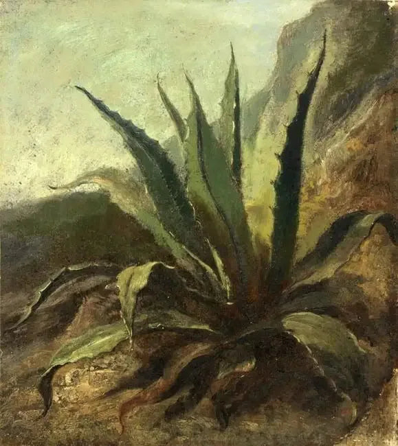 Agave no Marrocos - Eugène Delacroix