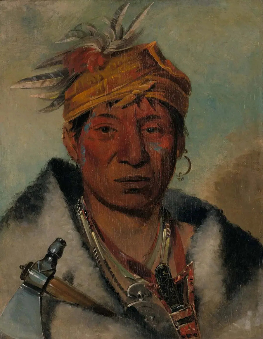 Ah-yaw-ne-tak-oár-ron, um guerreiro - George Catlin