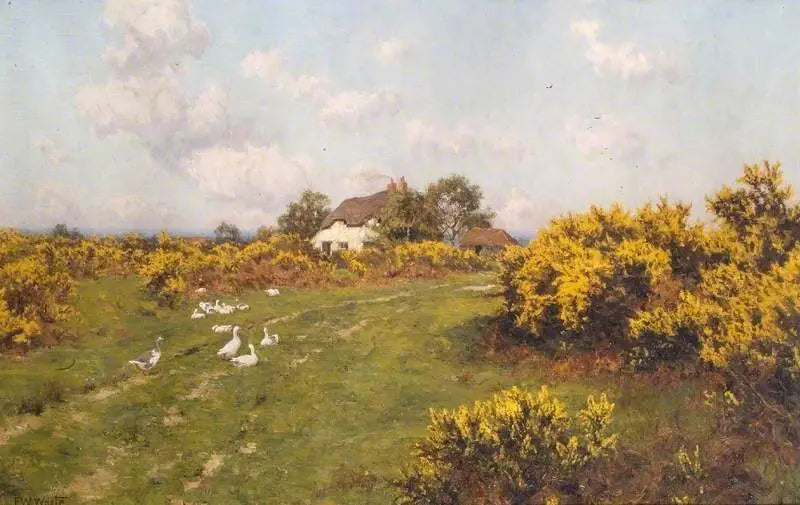 Canas em um terreno comunitário de Berkshire (Bucklebury Common) - Edward Wilkins Waite