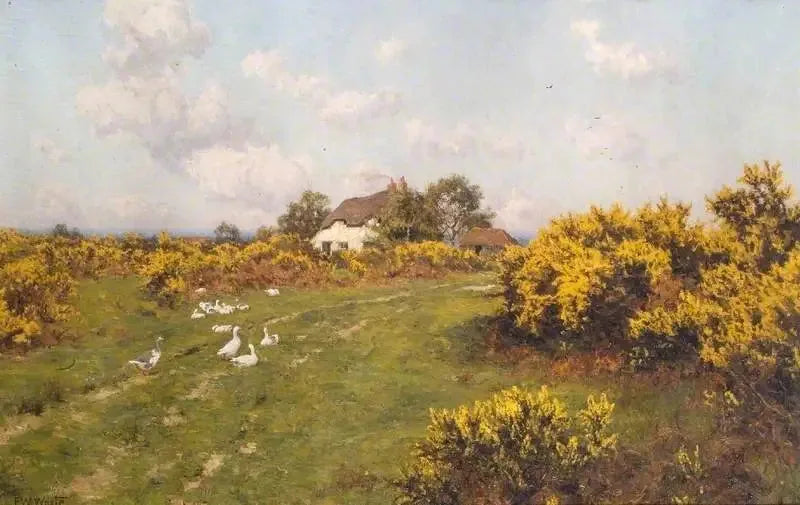 Canas em um terreno comunitário de Berkshire (Bucklebury Common) - Edward Wilkins Waite