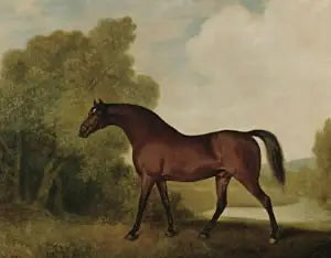 Ambrosio, um garanhão bai, propriedade de Thomas Haworth - George Stubbs