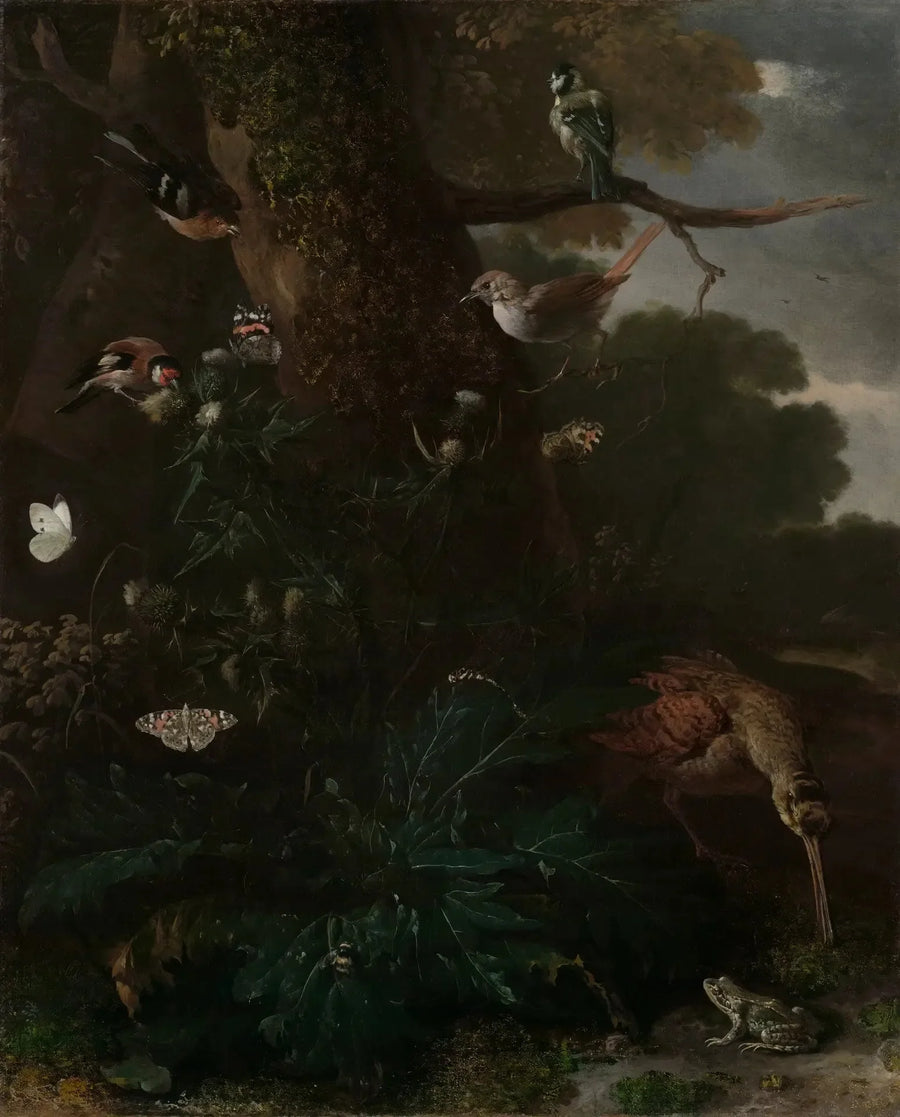 Animais e plantas da floresta - Melchior de Hondecoeter