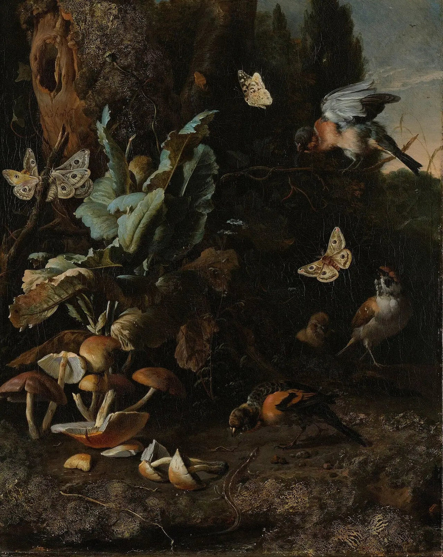 Animais e plantas - Melchior de Hondecoeter