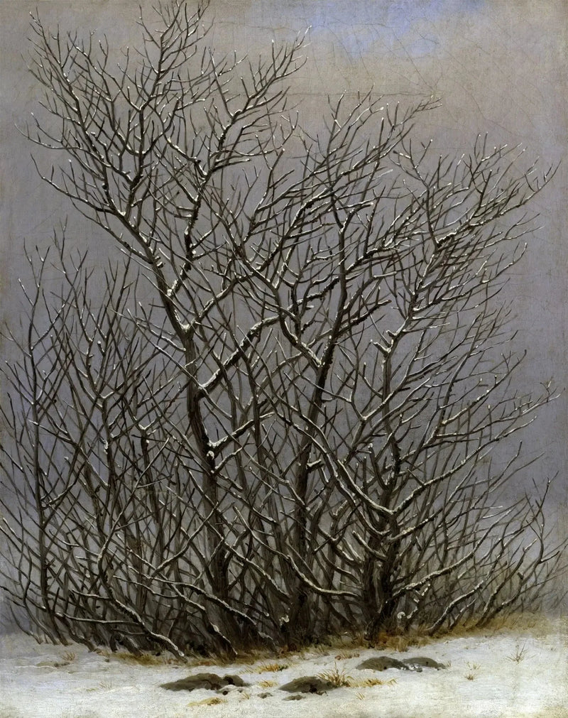 Árvores e arbustos sob a neve - Caspar David Friedrich