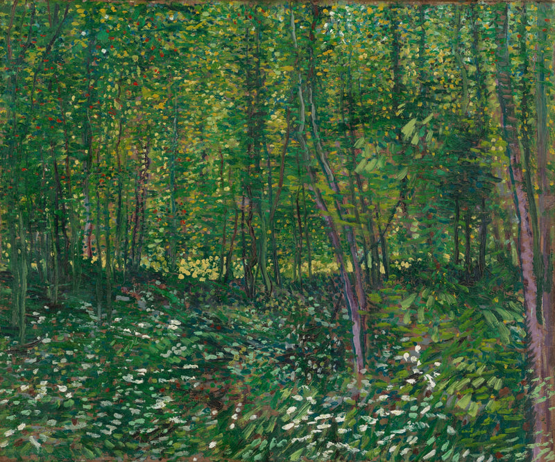 Árvores e sub-bosque - Vincent van Gogh