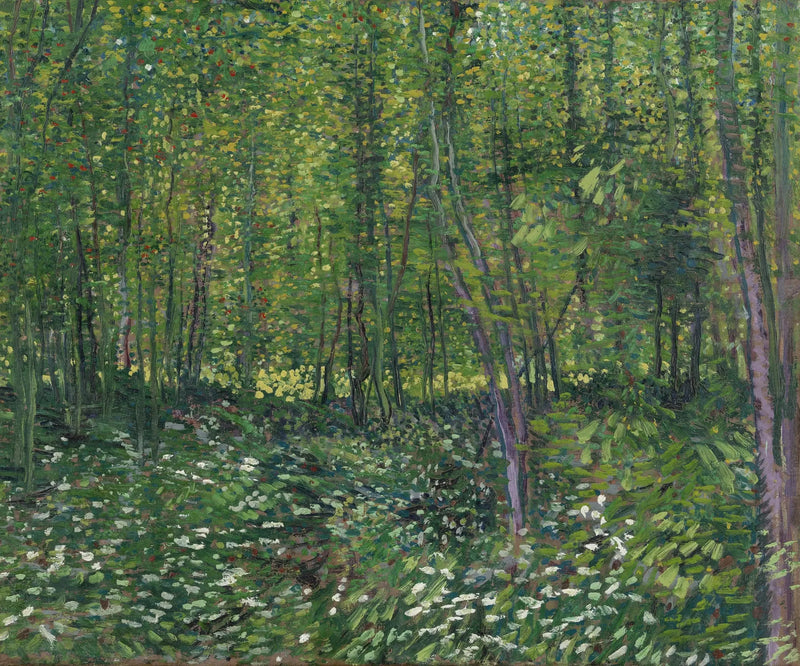 Árvores e sub-bosque - Vincent van Gogh