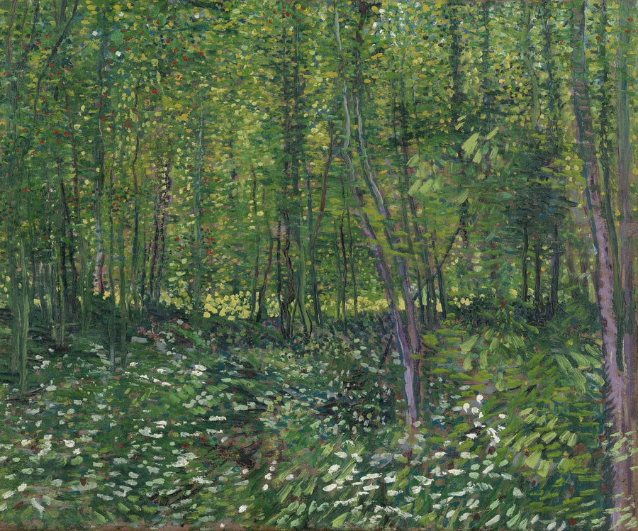 Árvores e sub-bosque - Vincent van Gogh