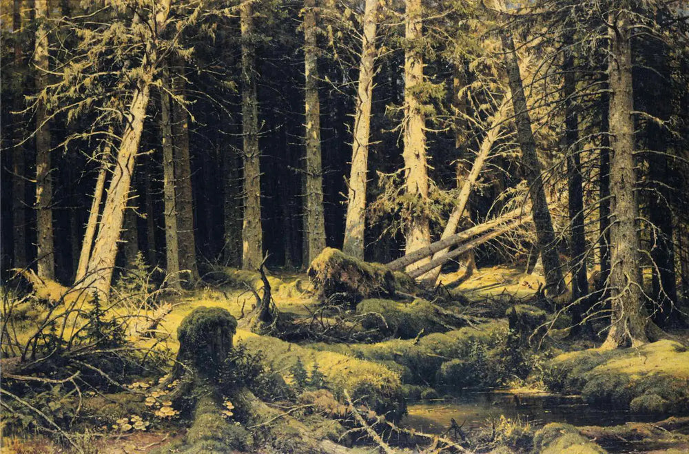 Arbres tombés par le vent - Ivan Chichkine - Alpha Reproduction