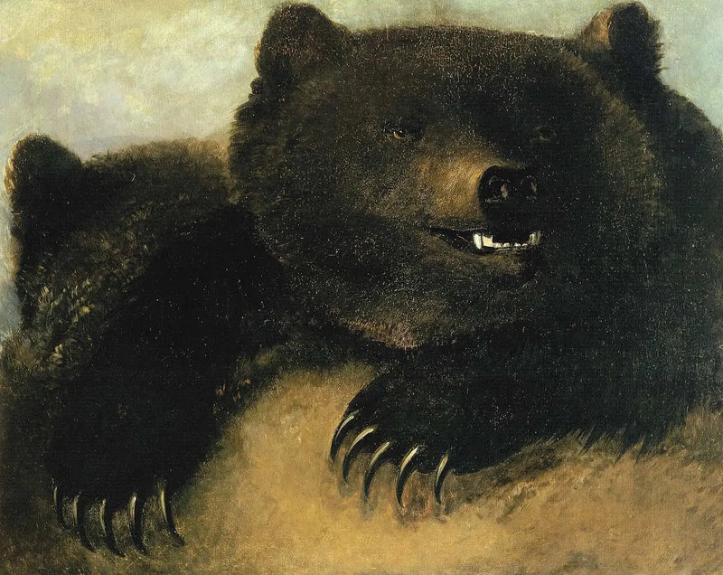 Armas e fisionomia do urso pardo-George Catlin