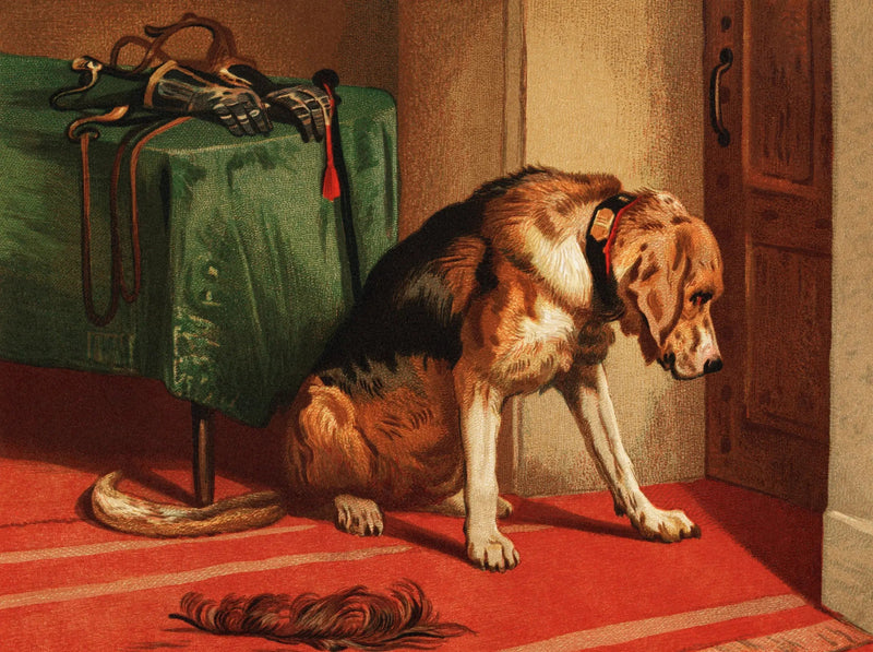 Aguardando - Edwin Henry Landseer