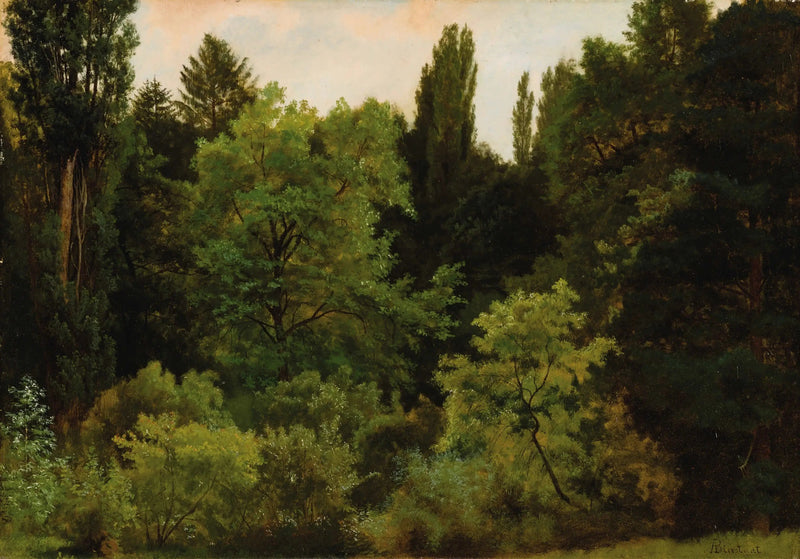 No coração das Montanhas Rochosas - Albert Bierstadt