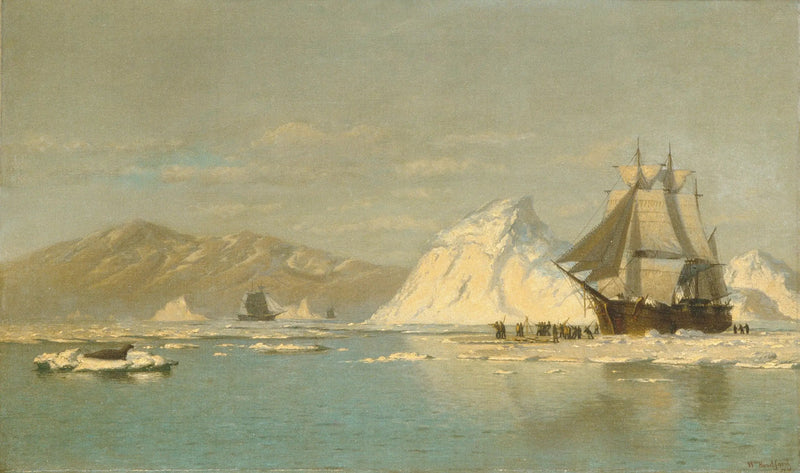 À deriva na Groenlândia — Baleia-jato em busca de águas livres - William Bradford