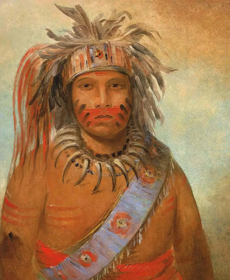 Au-nim-muck-kwa-um, pássaro da tempestade - George Catlin