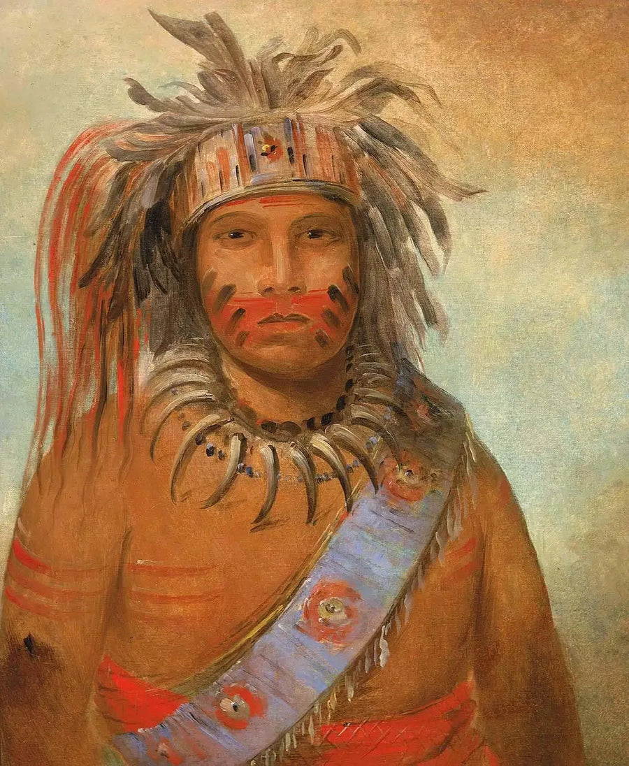 Au-nim-muck-kwa-um, pássaro da tempestade - George Catlin