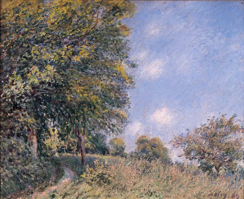Ao redor da floresta, manhã de julho - Alfred Sisley
