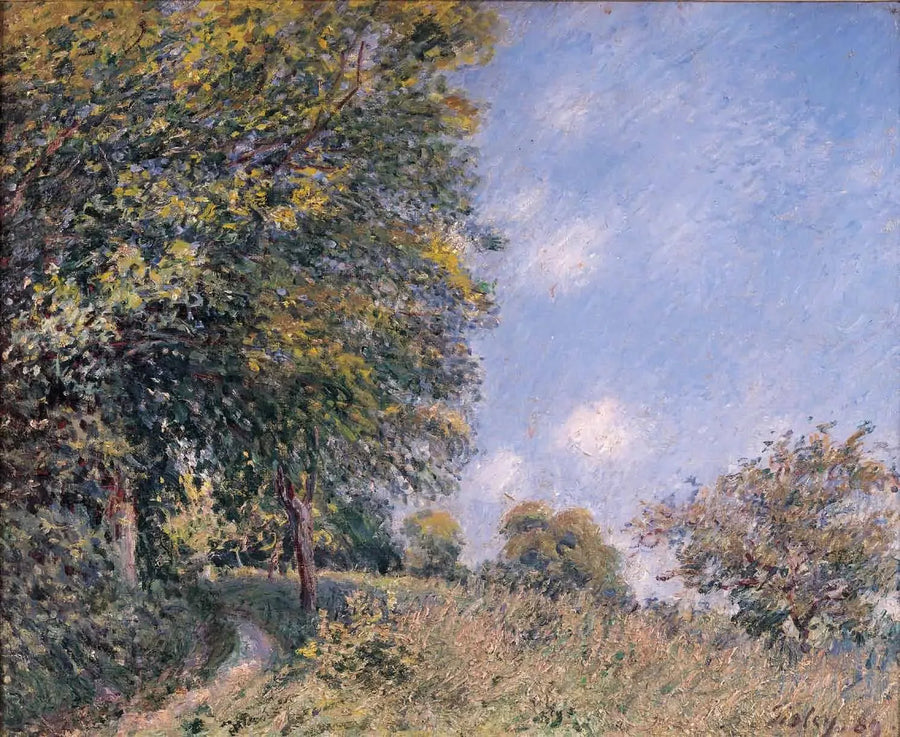 Ao redor da floresta, manhã de julho - Alfred Sisley