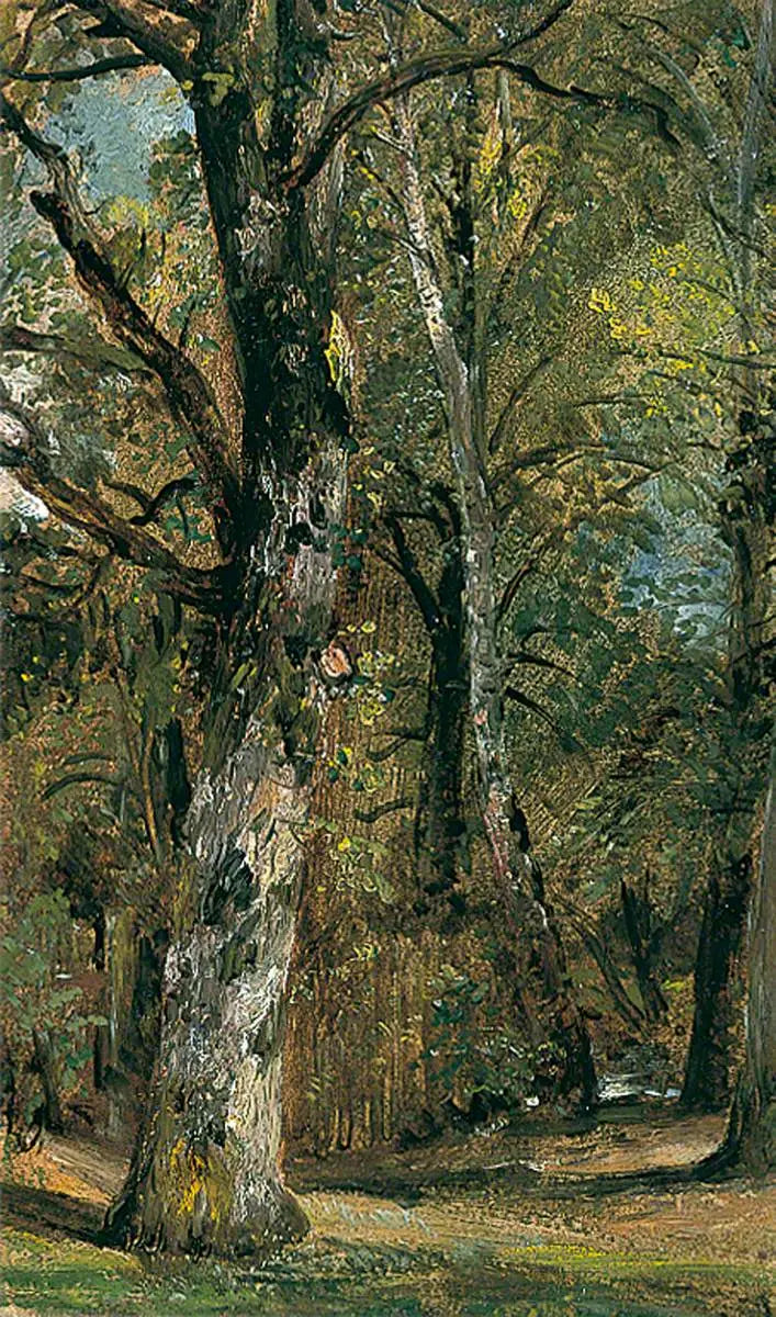 Avenida das Árvores - John Constable