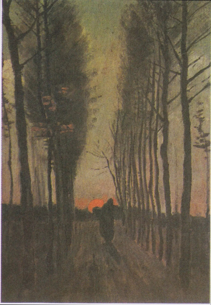 Avenida dos plátanos ao pôr do sol - Vincent van Gogh