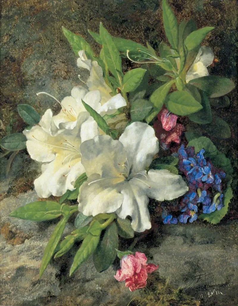 Azaleias brancas - Henri Fantin-Latour
