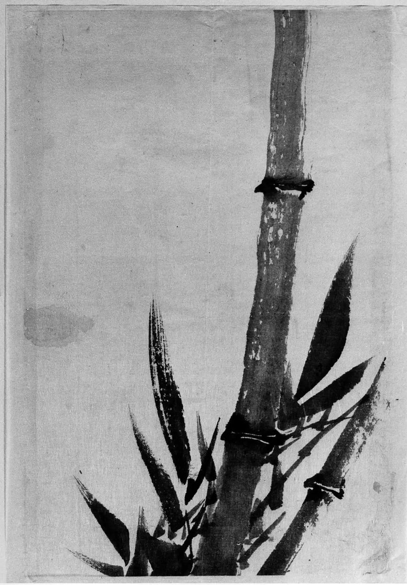 Bambu - Hokusai
