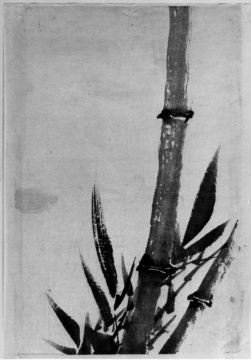 Bambu - Hokusai