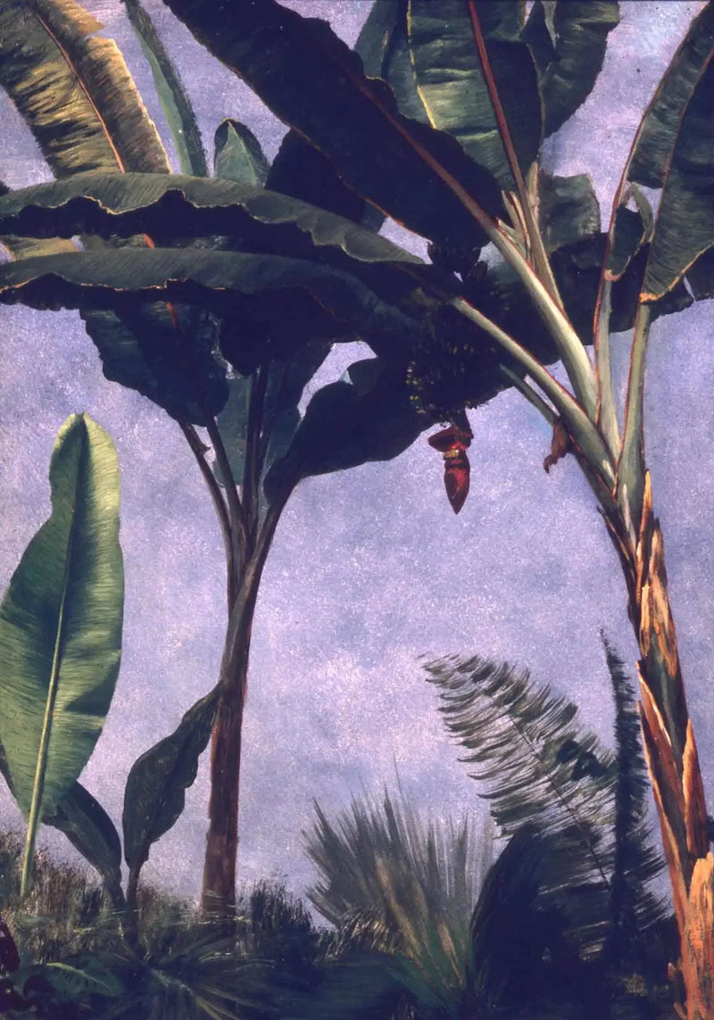 Bananeiras - Albert Bierstadt