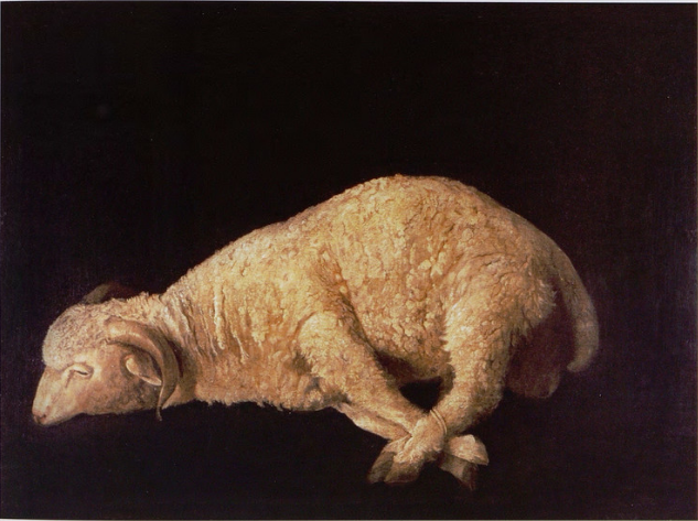 Bélier com pés amarrados - Francisco de Zurbarán