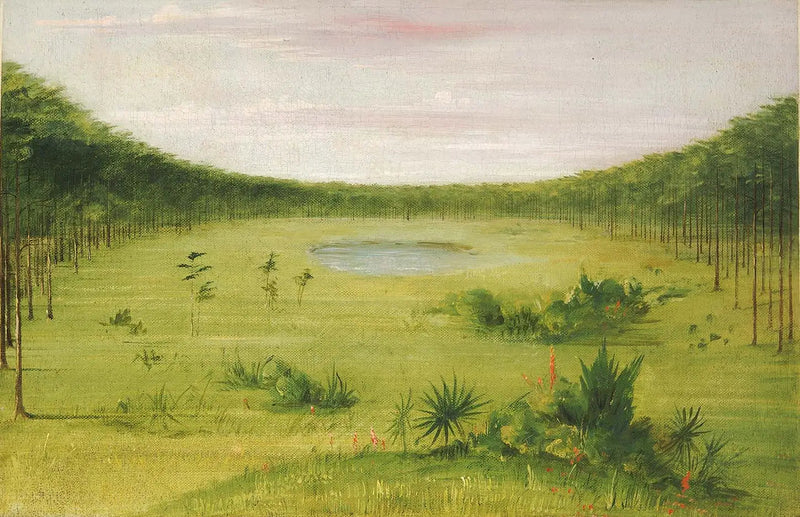 Bela savana nas pinhais da Flórida - George Catlin