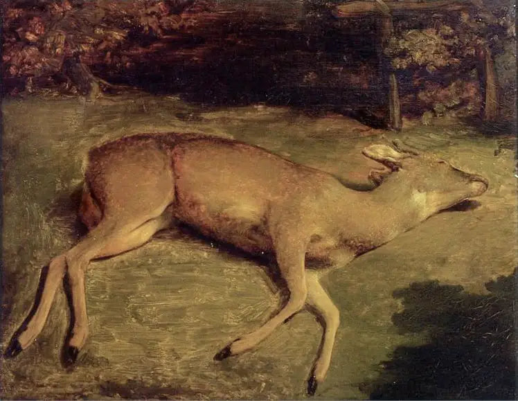 Bicho morto - Gustave Courbet