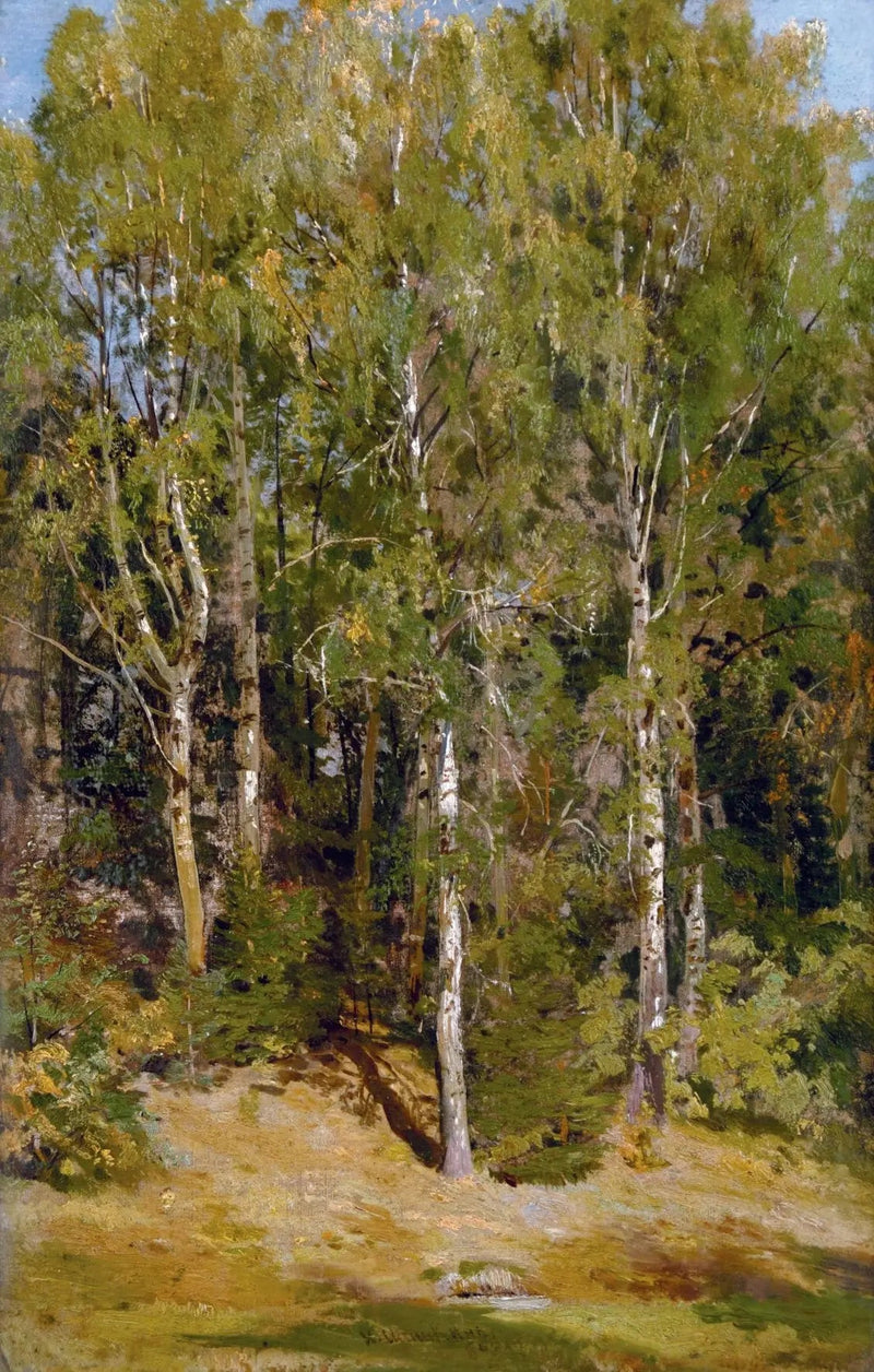 Bosque de Bétulas - Ivan Chichkine