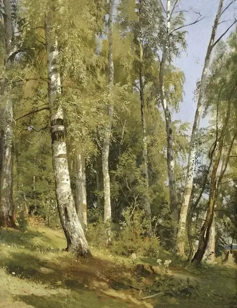 Bosque de Bétulas - Ivan Chichkine