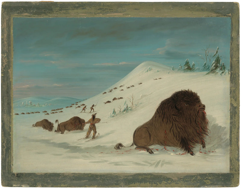 Bisão se lançando nas nevascas - Sioux - George Catlin