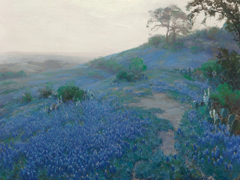 Campo Blue Bonnet, de manhã cedo, San Antonio, Texas - Julian Onderdonk
